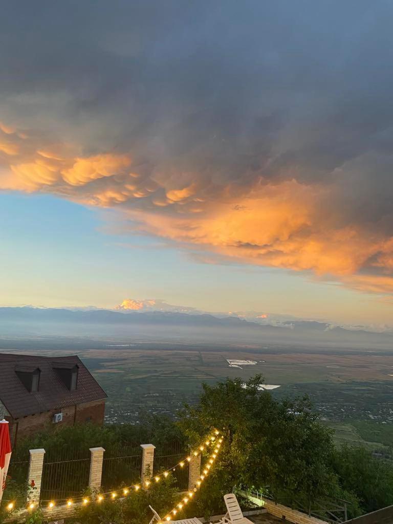 Hotel Panorama Sighnaghi Zewnętrze zdjęcie